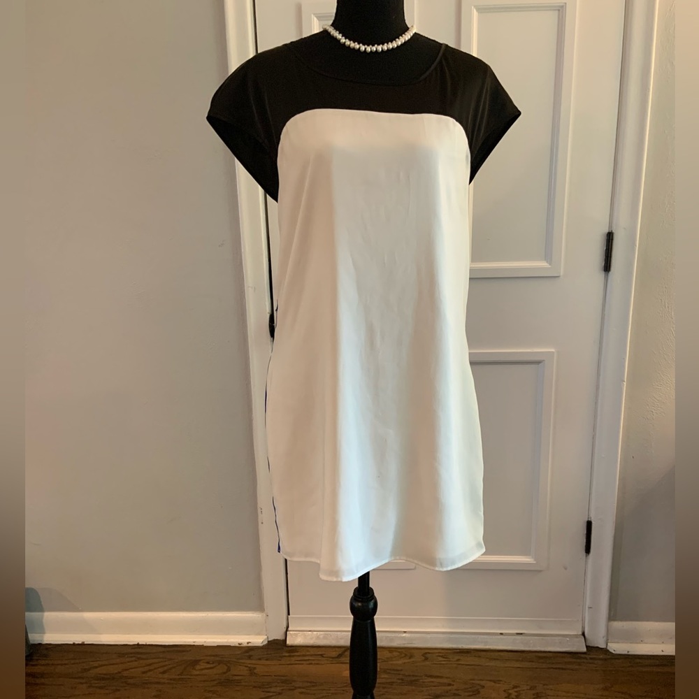 Express Cocktail Shift Dress - Picture 5 of 6